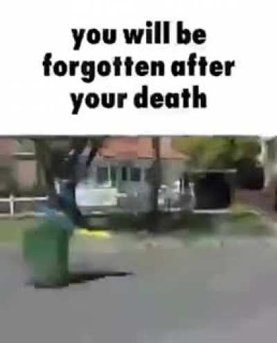 shitposting - Video #5650