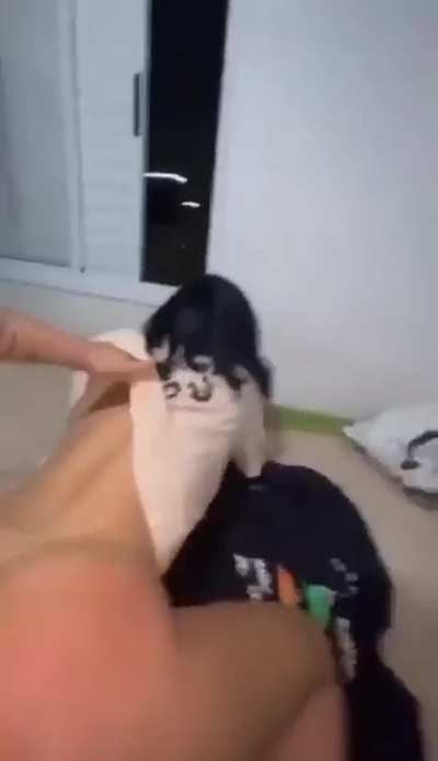 One of the best videos