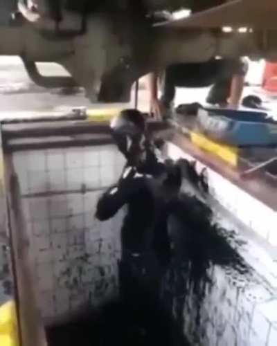 Oil
