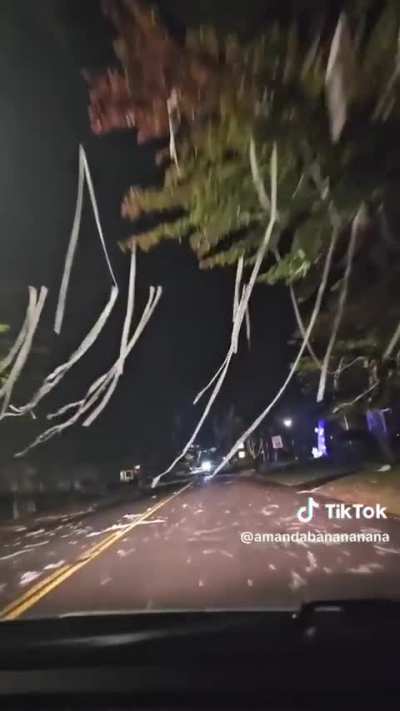 Entire neighborhood T P'd