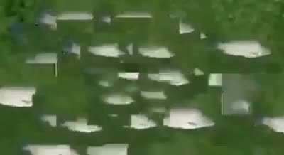 Infinite fishes!