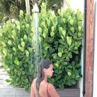 WoW