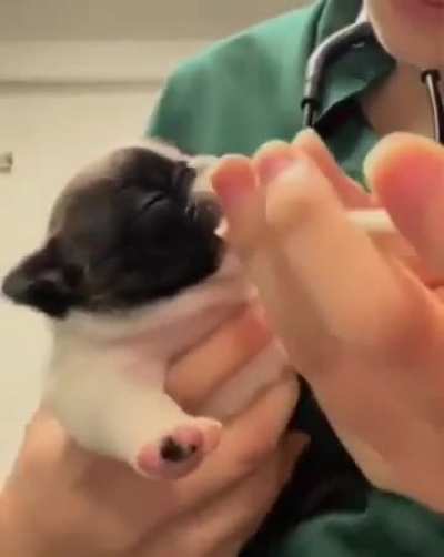 AaaaAAaaaaaa a!