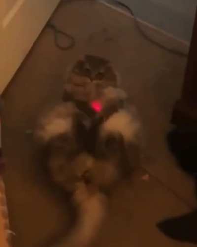 ña