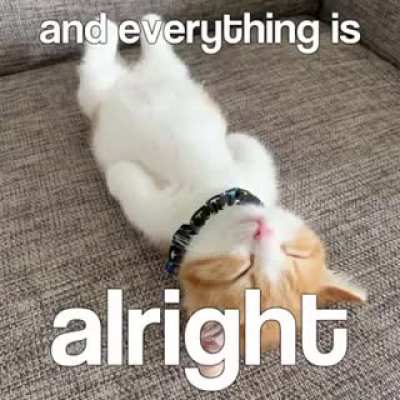 im addicted to rule