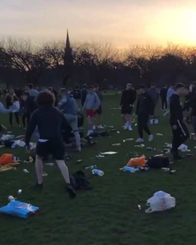 Scraps in the meadows