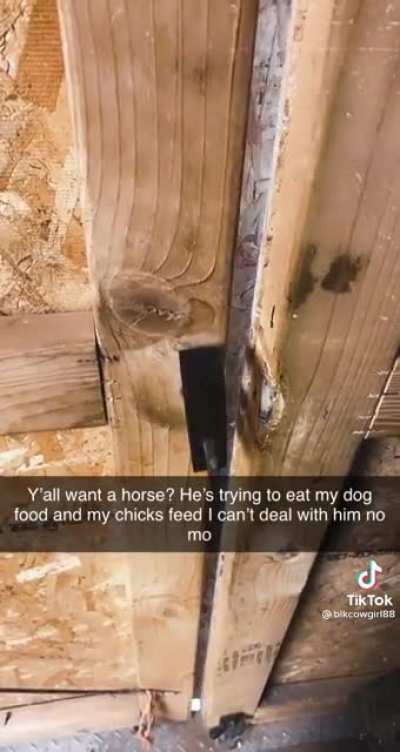 Caught your ass!
