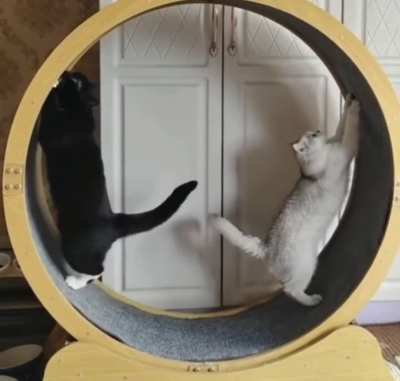 Physics Catculations