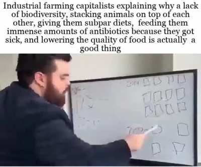 I read a book on how the bees are suffering and I’m quite upset