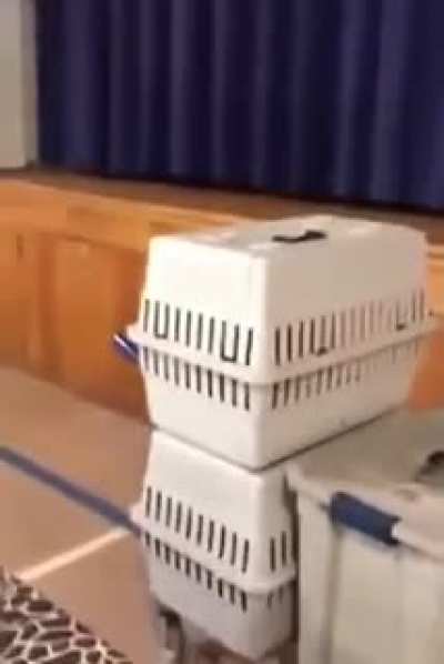 Please, help the child!