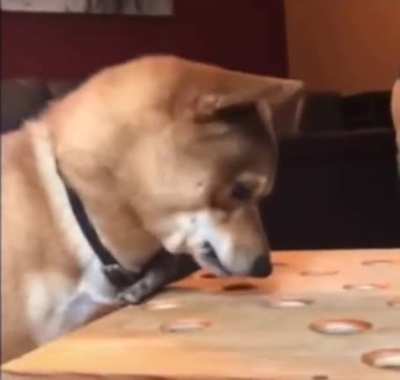 Hide the sausage