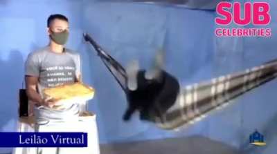 VOU DAR A LASANHA