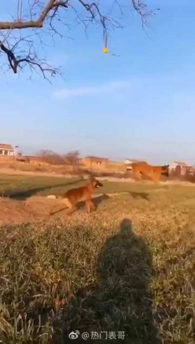 Having fun with a friend