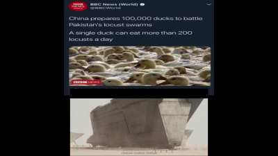 soon the army will be ready