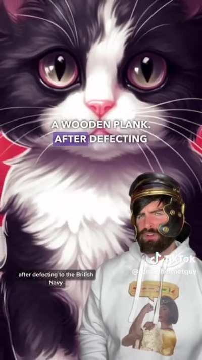 Unsinkable Sam…history’s luckiest cat