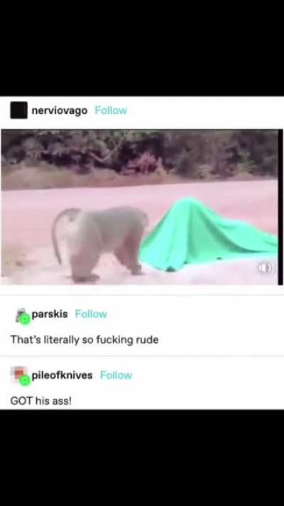 return to monke