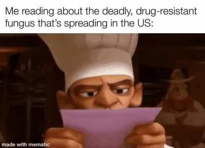 Buckle up