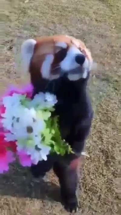 This is so cuute!