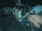 Disco fun