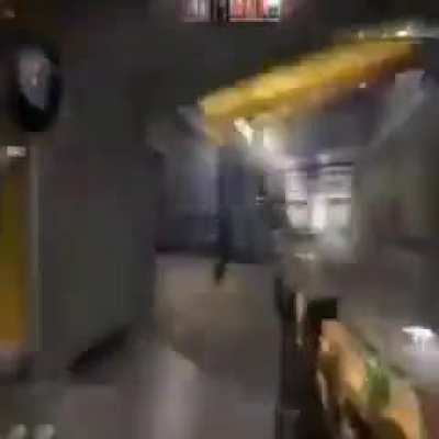 Cs gato