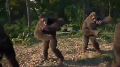 Nome da musica