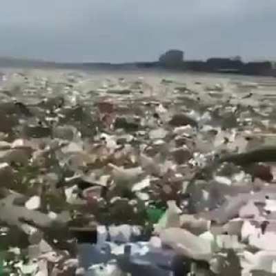 In 2013 it was estimated that there was ~86 million tons of plastic pollution in the world's oceans. By 2050 there could be more plastic than fish in the oceans by weight. (Footage by: Dominican Republic in July 2018)