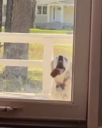 Ummm, you okay there bud?