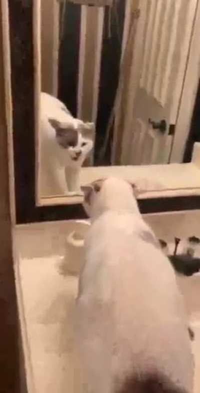 Thought this may fit here