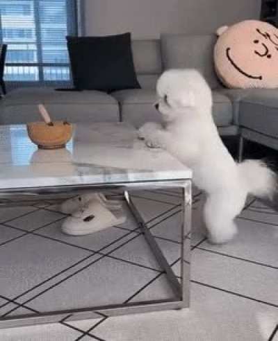Made me go awww