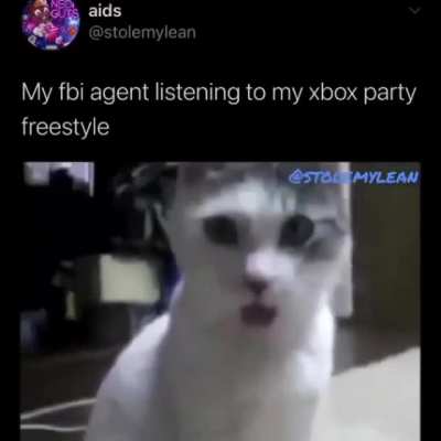 another M E M E