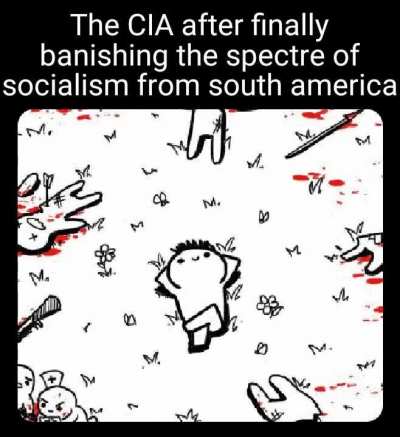 poor allende