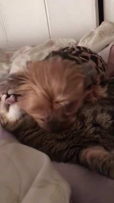 It’s all love until he smells her butt