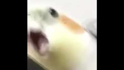 AAAAAAAAAAAAAA-