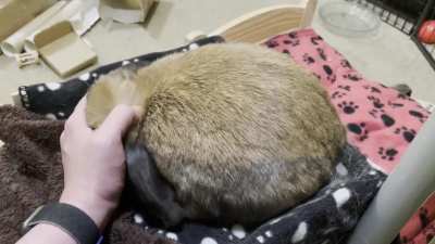 Is my bun weird for enjoying this?