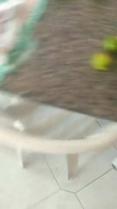 Gostosinho