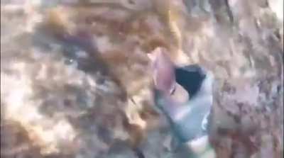 Dont challenge even the smallest of turtles