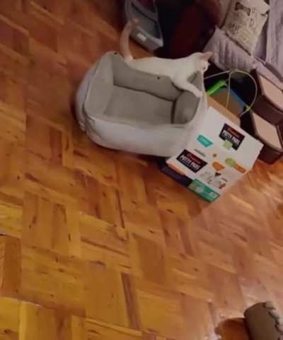I think its close enough to a stuffie