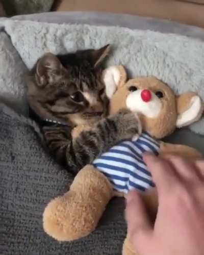 bed time!