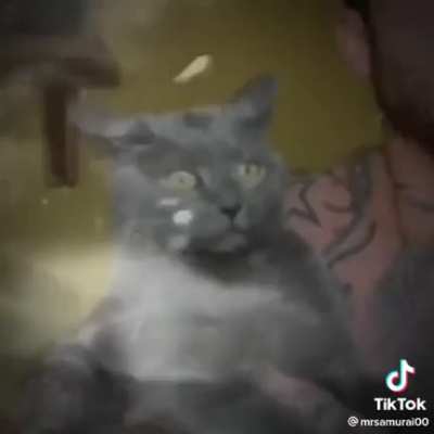 Bella Ciao