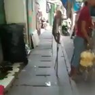 macaco andando fds