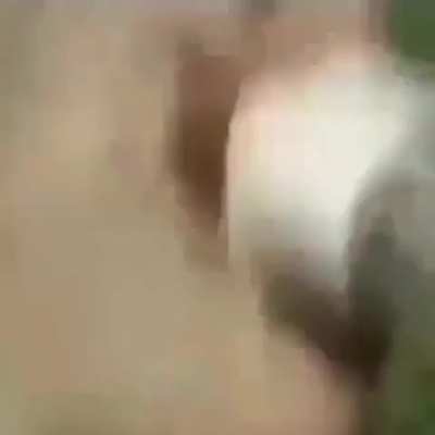 Anime Fight (Very Emotional)