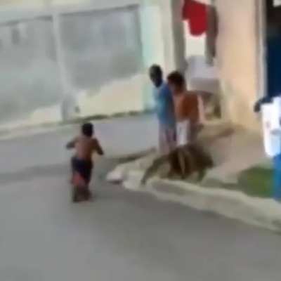 permiso mamaguevo