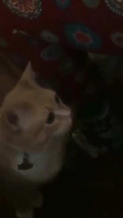 possessed or not?