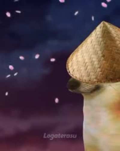 uwu
