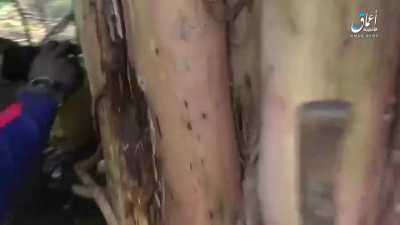 Congolese army in combat with the Islamic State