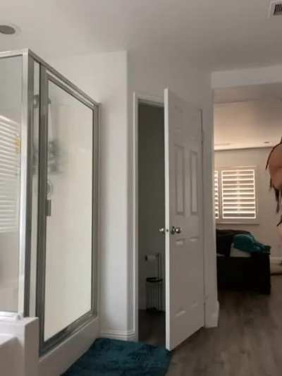 E full vid