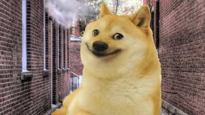 Jim ends dogelore