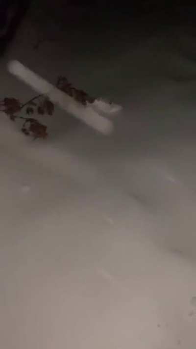 There goes ma fookin shoe