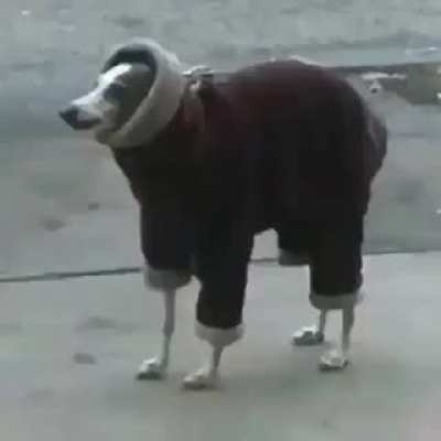 He lookin fresh doe
