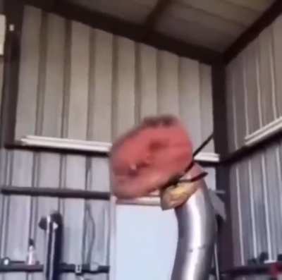 Dino Puppet rule
